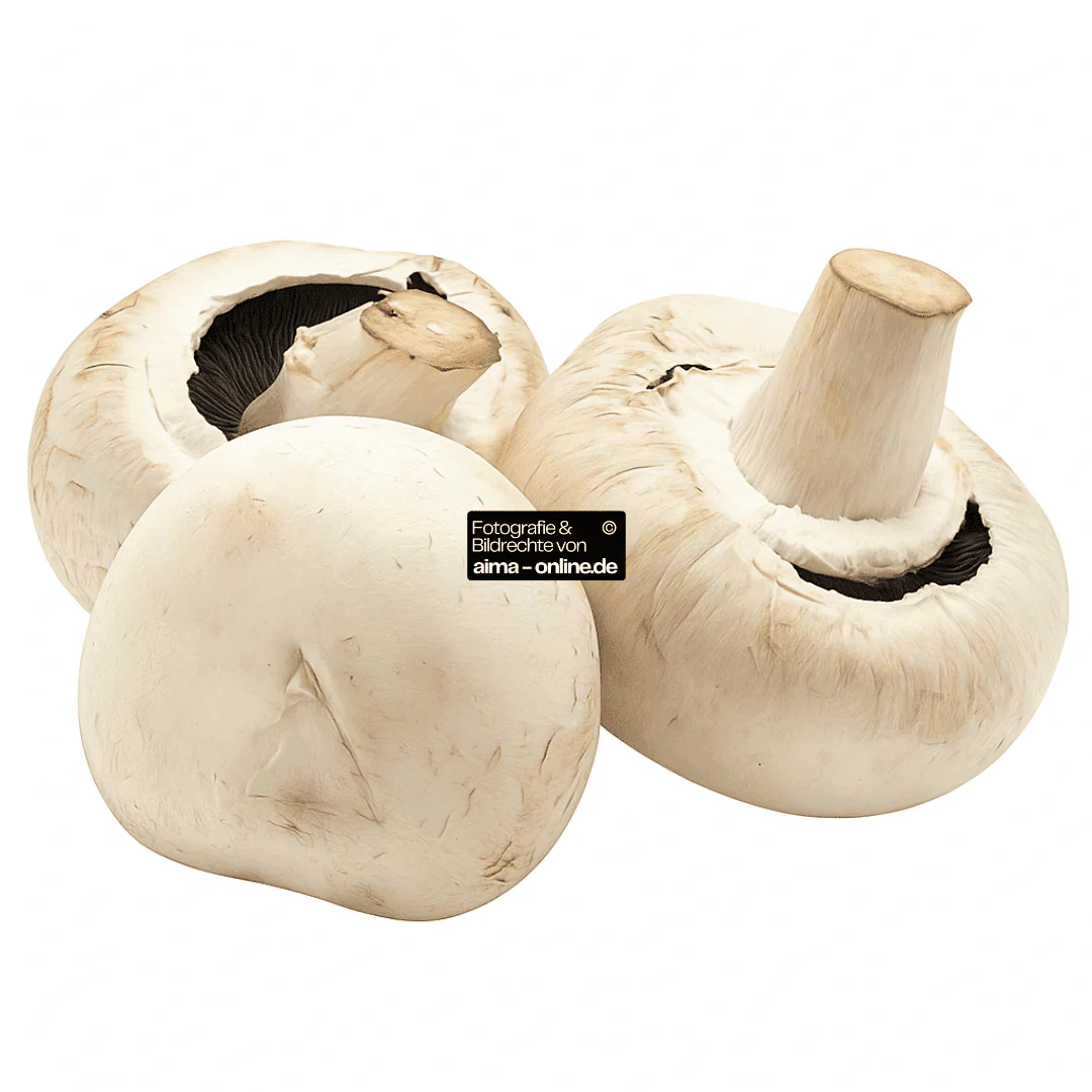 Champignon 500g
