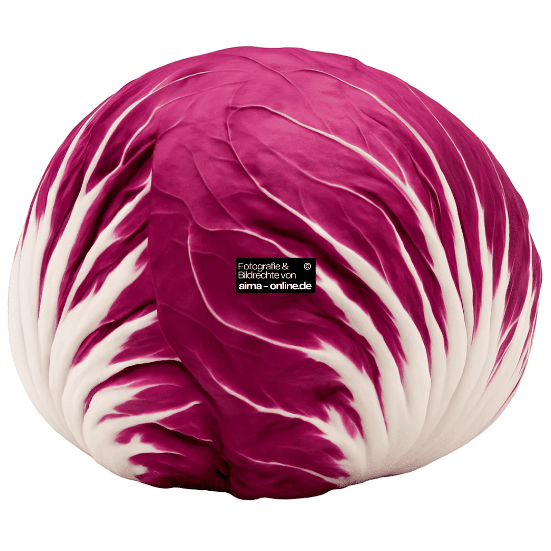 Radicchio, 1 Stück